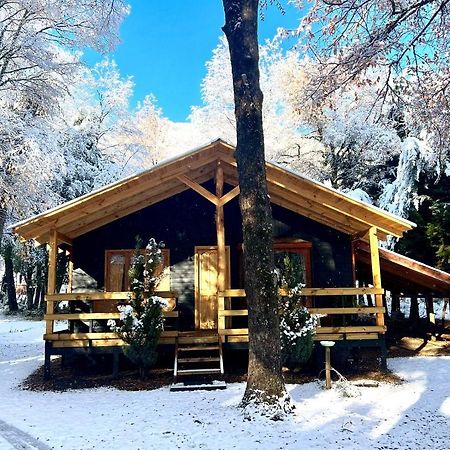 Cabanas Bosque Las Trancas Buitenkant foto