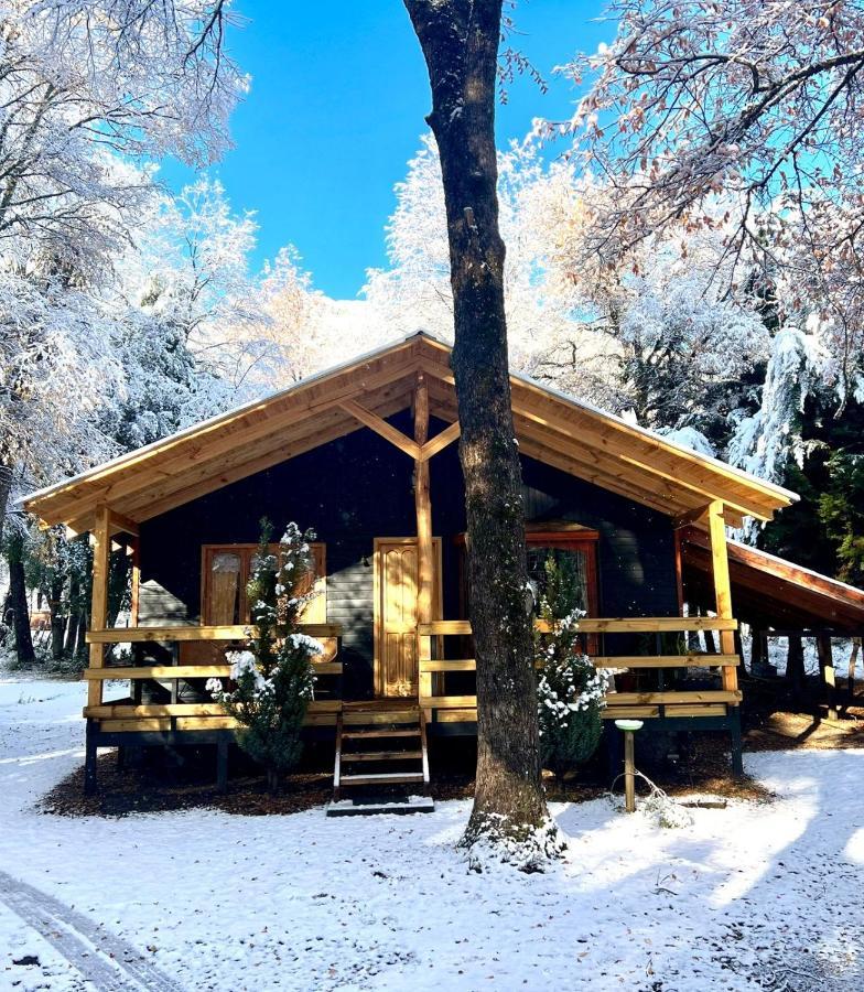 Cabanas Bosque Las Trancas Buitenkant foto