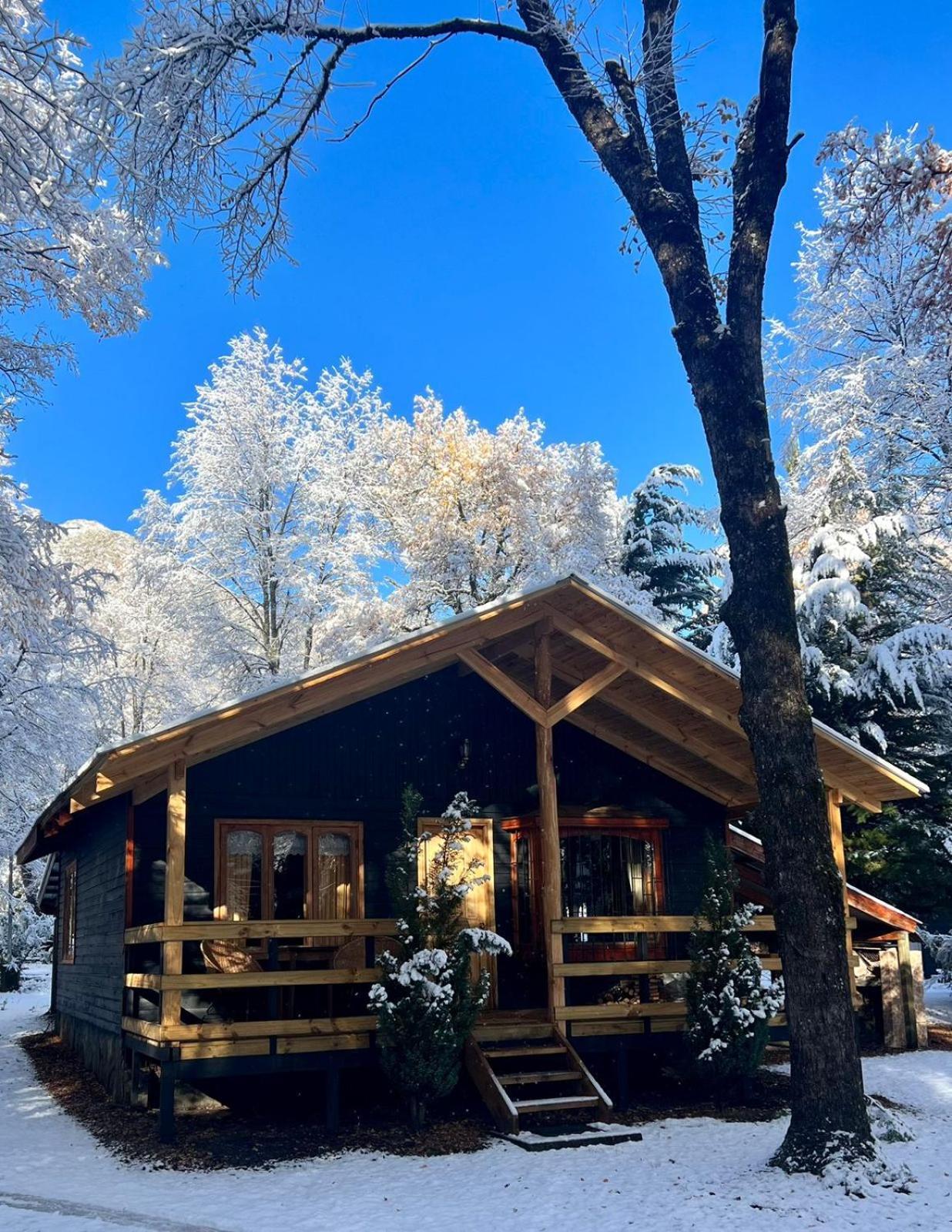 Cabanas Bosque Las Trancas Buitenkant foto